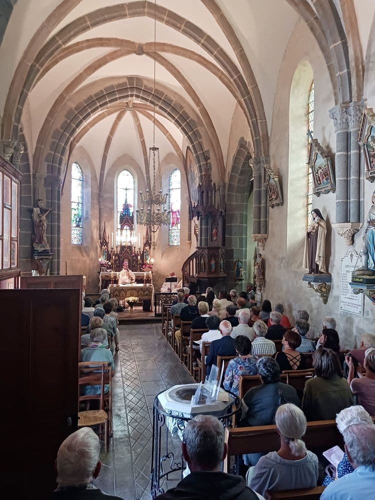 15170 Facebook Amis nef.jpg