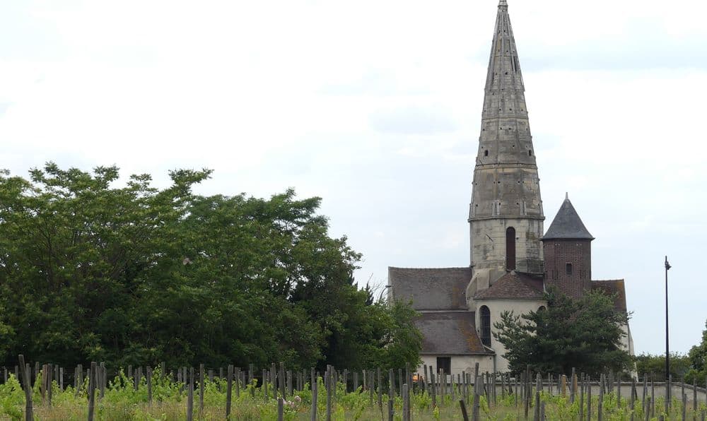 20200611_Eglise_Vignes_p_b251c19647.jpg