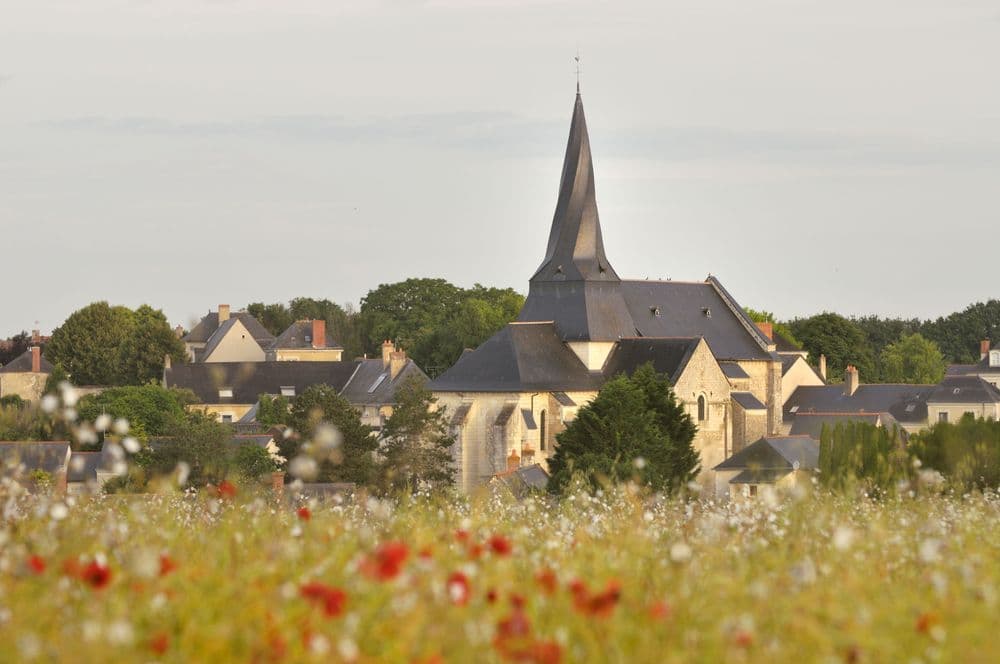 49150-Pontigné-St Denis-B5 photo paillat.jpg