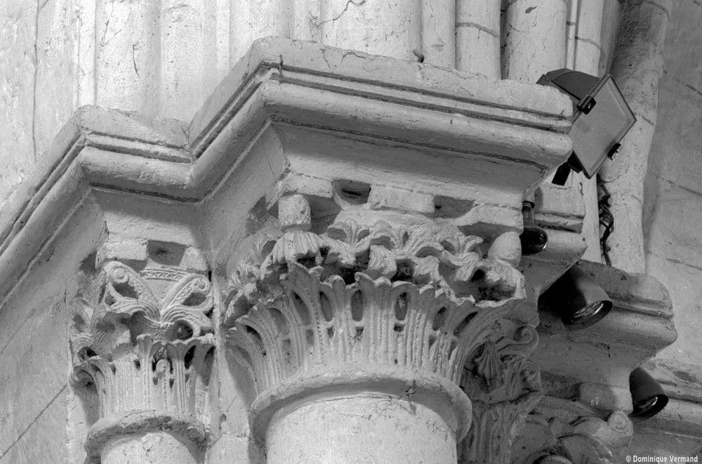 60620 Acy en Multien Eglises de l'Oise vegetal.jpg