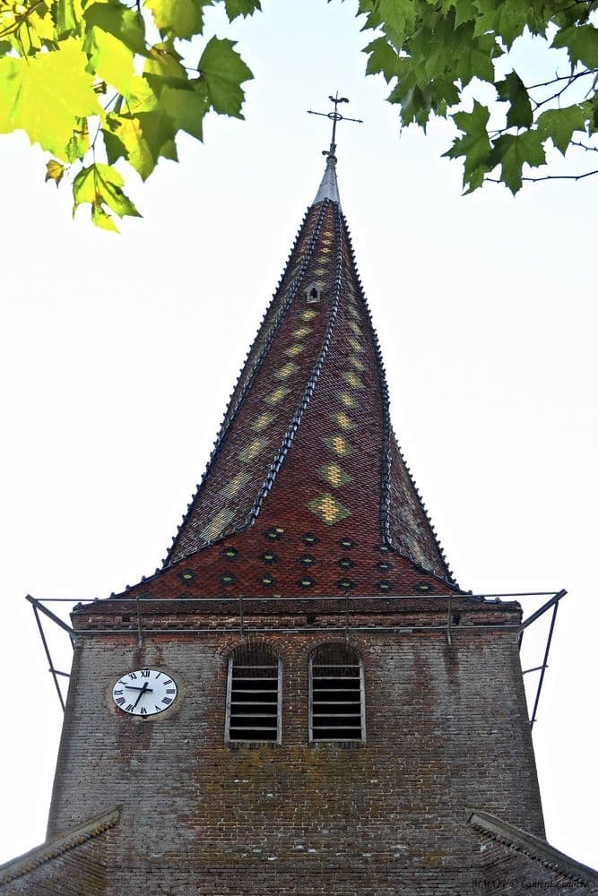 71310 Mervans Flickr Laurent Lenotre .jpg