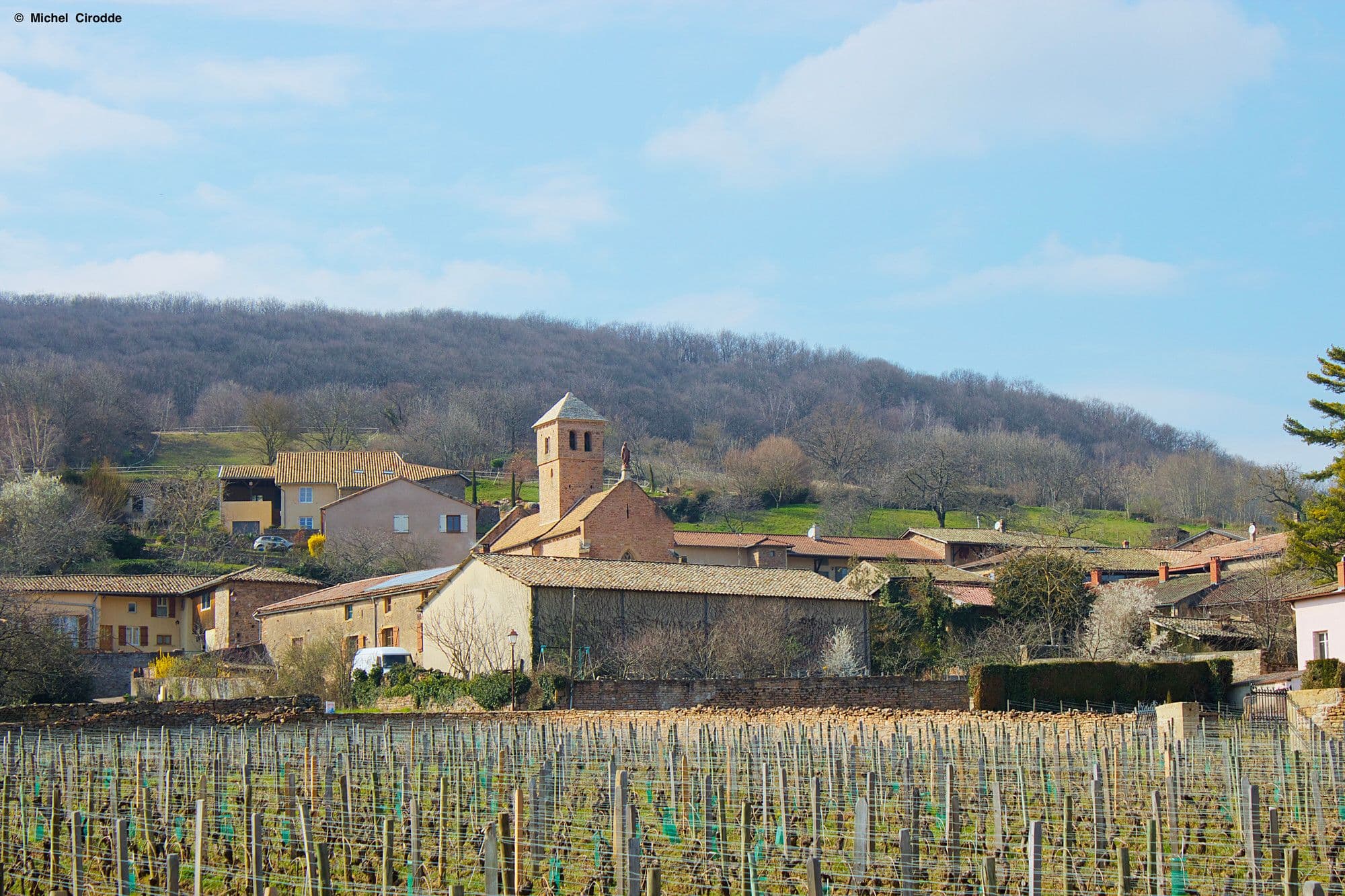 Chasselas - Église Notre-Dame